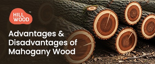 Advantages and Disadvantages of Mahogany Wood